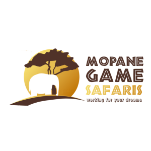 Mopane.png