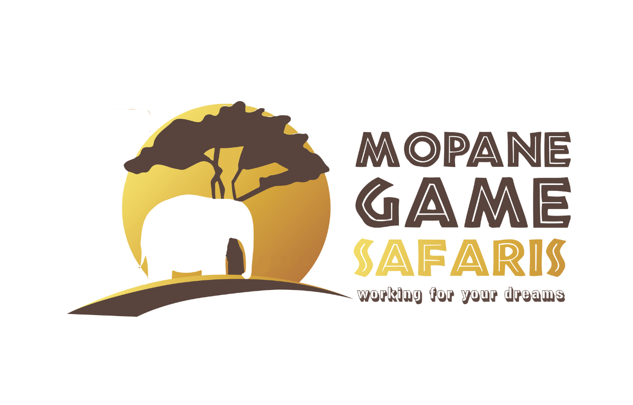 Mopane1.png